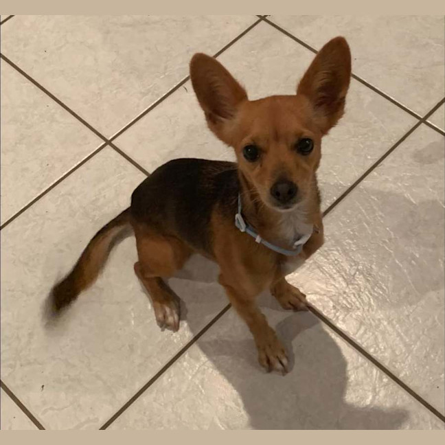 Photo of Tiny