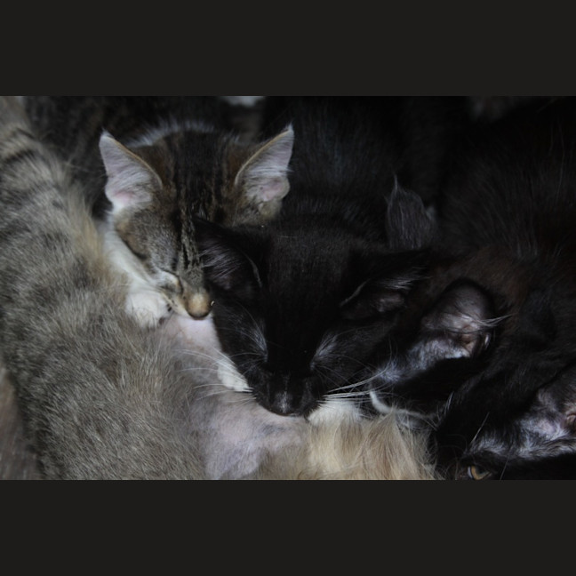 Photo of 💗 Logan 💗