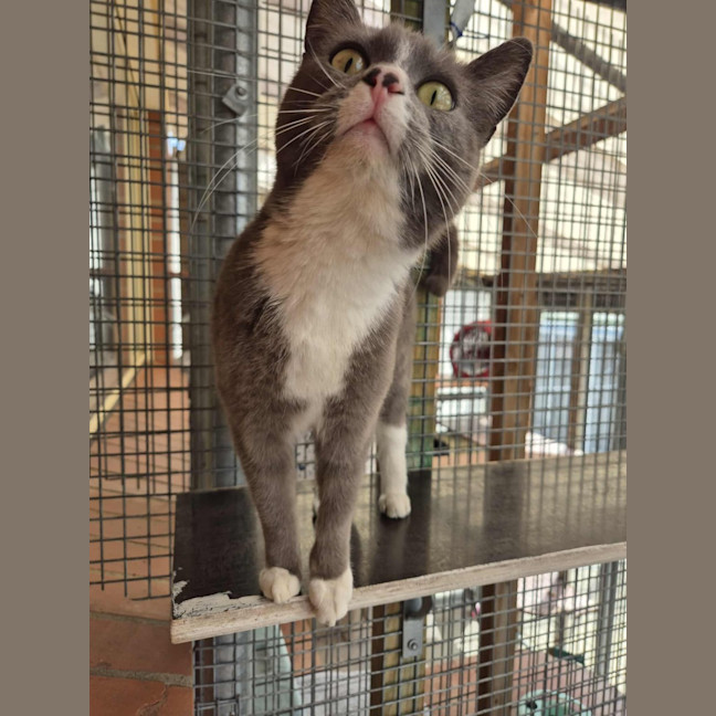 Photo of Mary! 🕊️