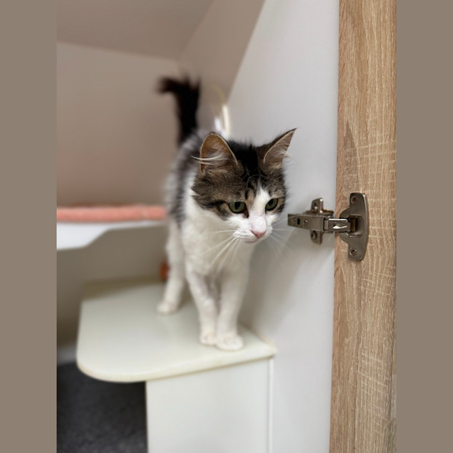 Photo of 🕶️ Ruth 6779 🕶️