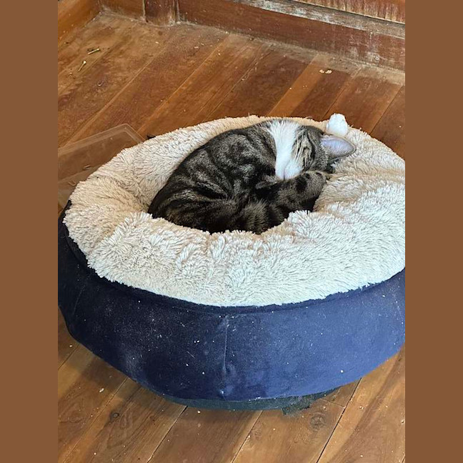 Photo of Rebecca
