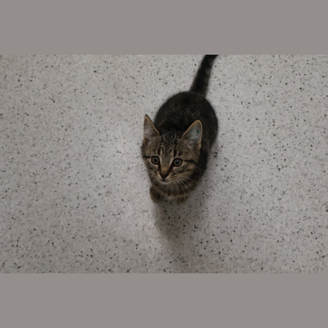 Photo of Bonnie