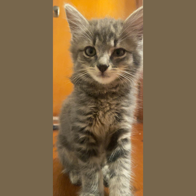 Photo of Donald