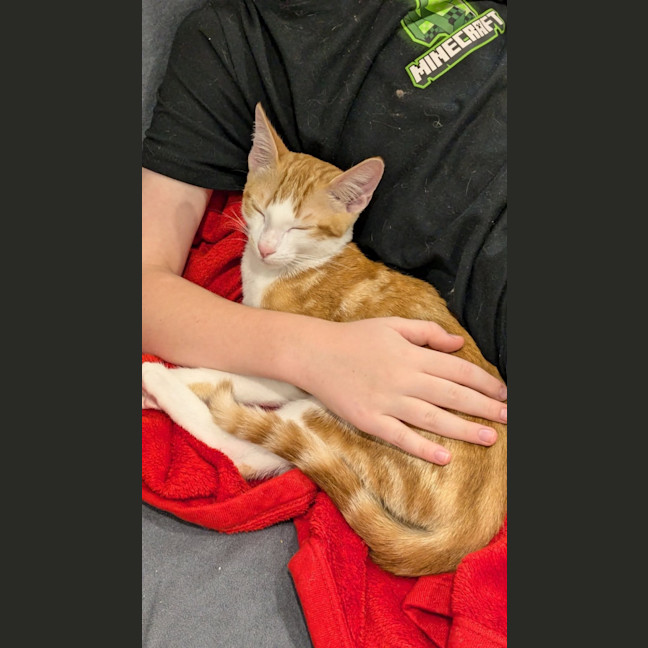 Photo of Remi   Child Friendly