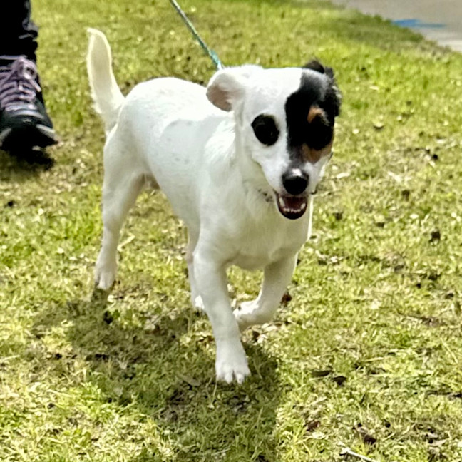 Photo of Gary And Willow 