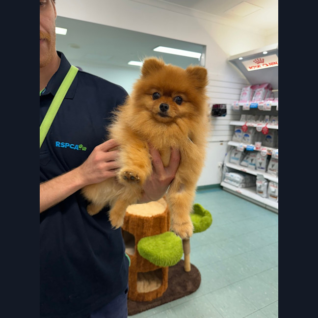 Photo of Astro