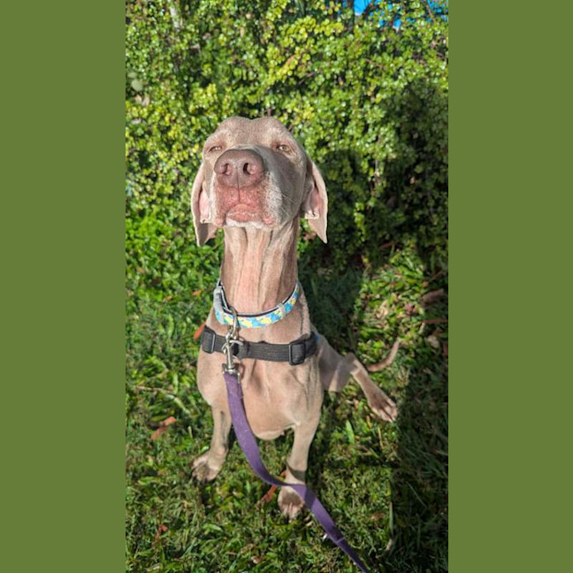 Photo of Ellie