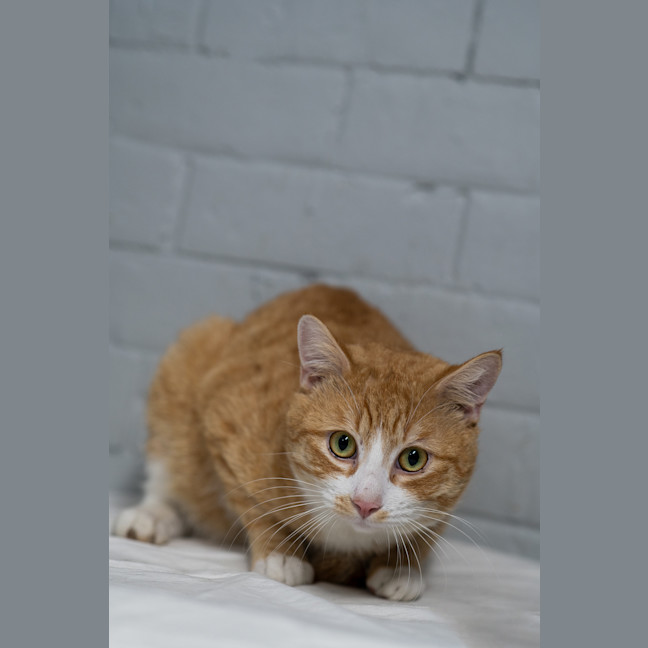 Photo of Arthur