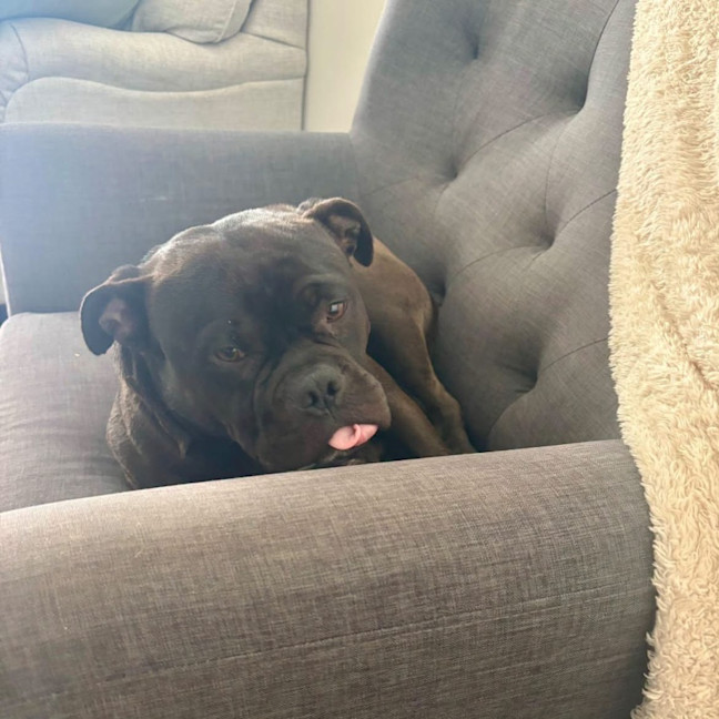 Photo of Rukkus