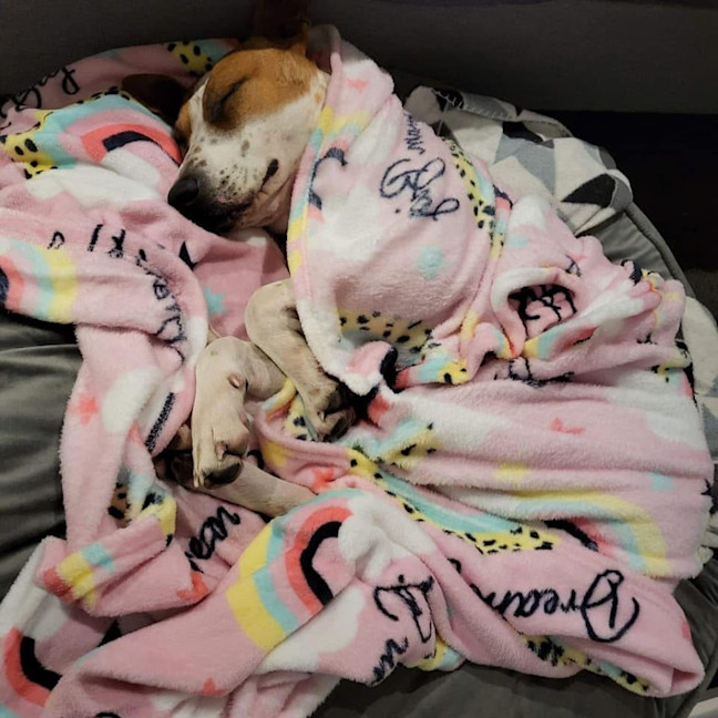 Photo of Nora