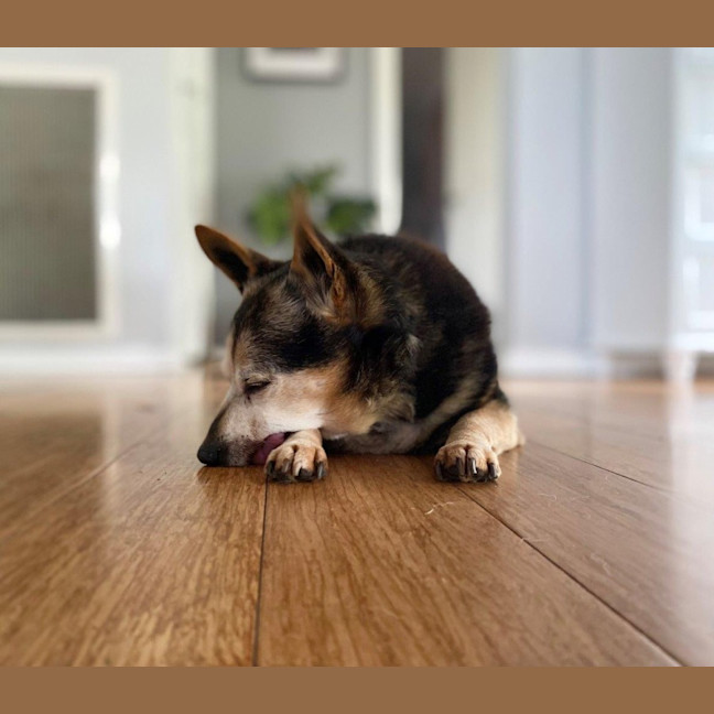 Photo of Miguel Kumara