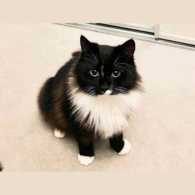 Photo of Jasmine