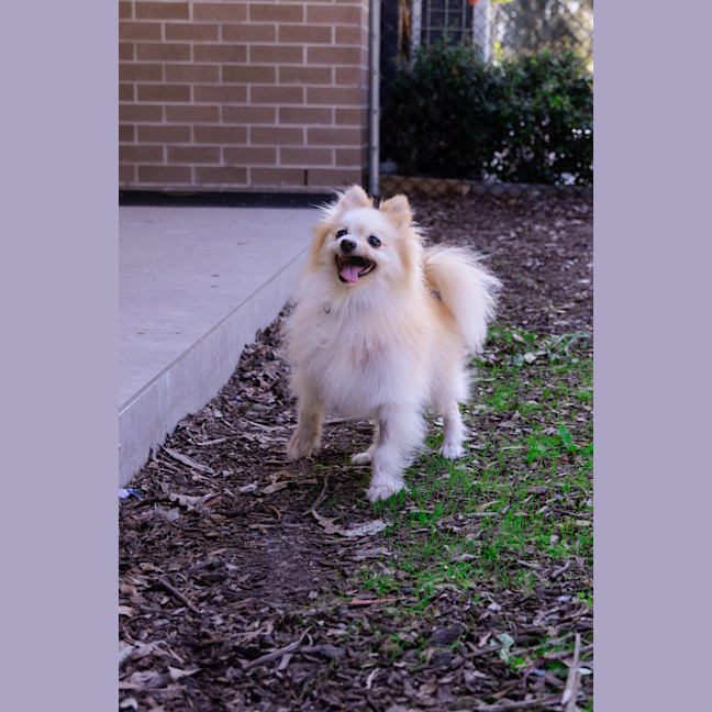 Photo of Bellatrix