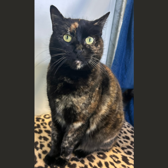 Photo of Molly