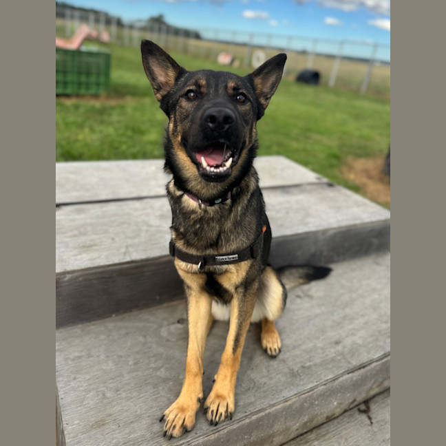 Photo of Cash