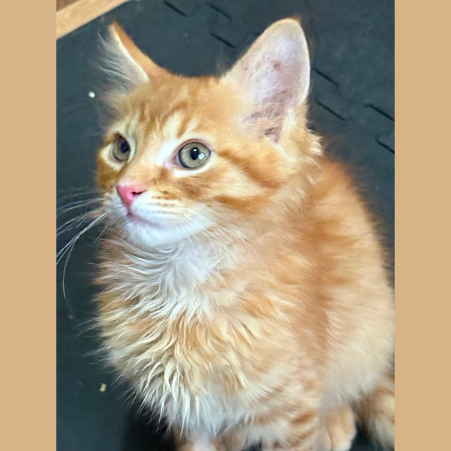 Photo of Marshall 🩵🧢🩵