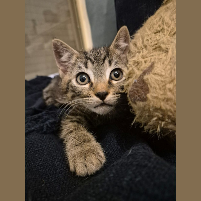 Photo of Max