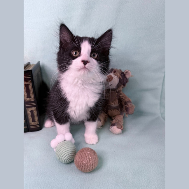 Photo of Gracie May 🌷