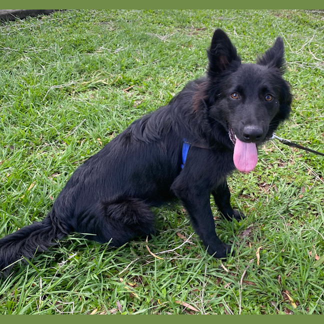 Photo of Maggie