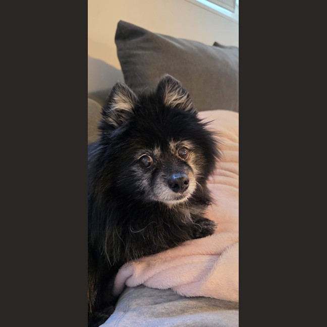 Photo of Patrick