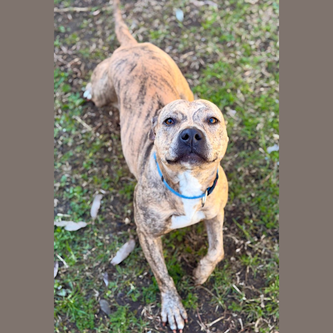 Photo of Sabre