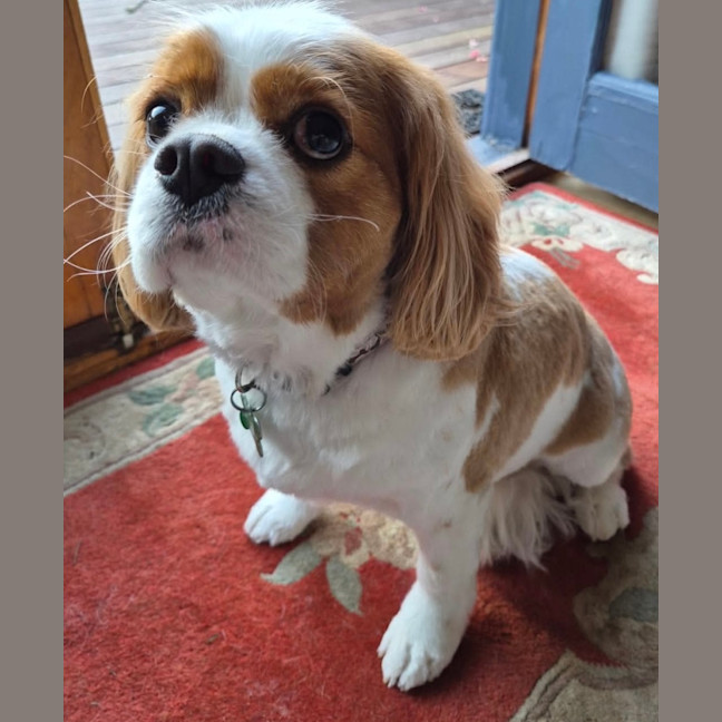 Photo of Freddie