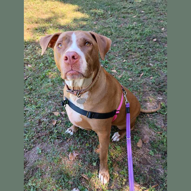 Photo of Xena