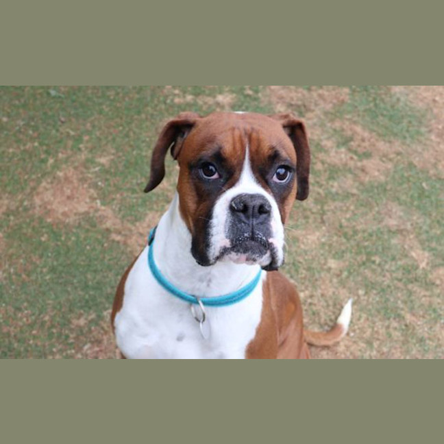 Photo of Ruby