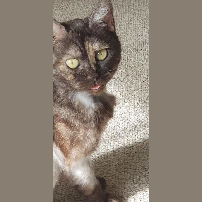 Photo of Nebula