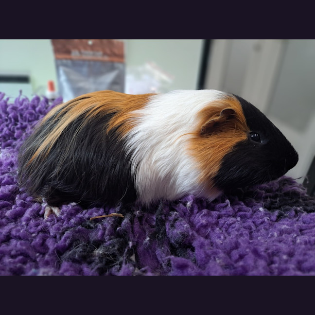 Photo of Steven