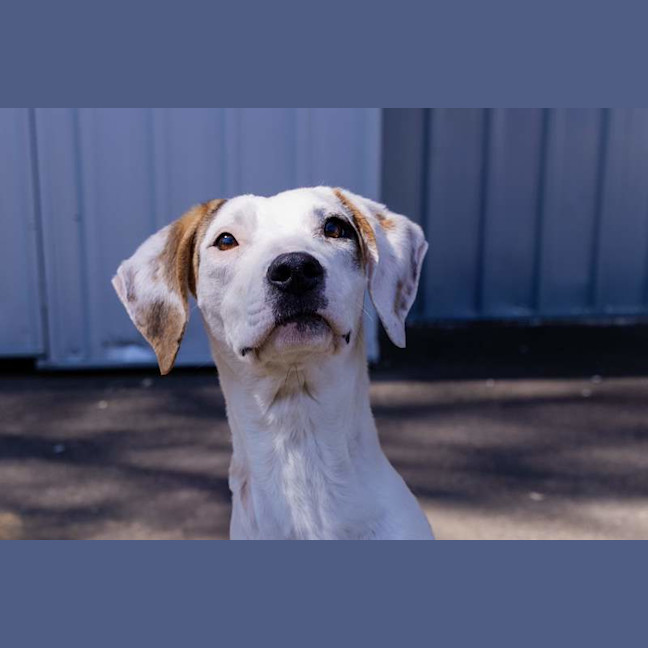 Photo of Kindred