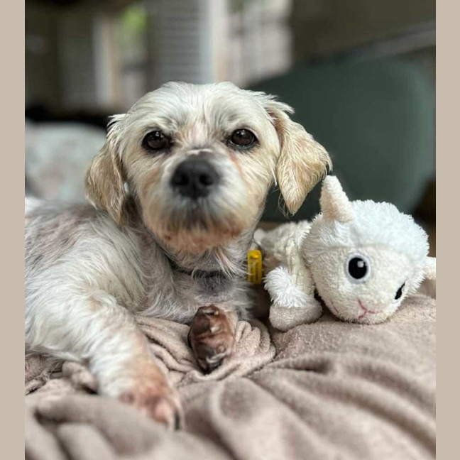 Photo of Eddie