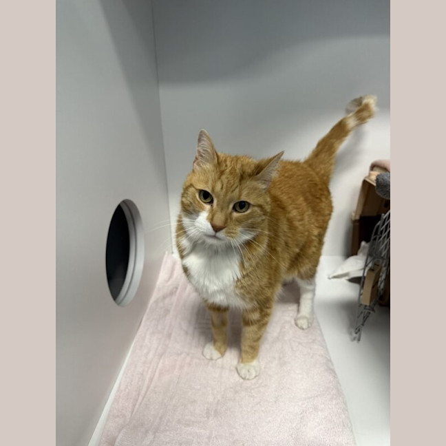 Photo of Tiggy