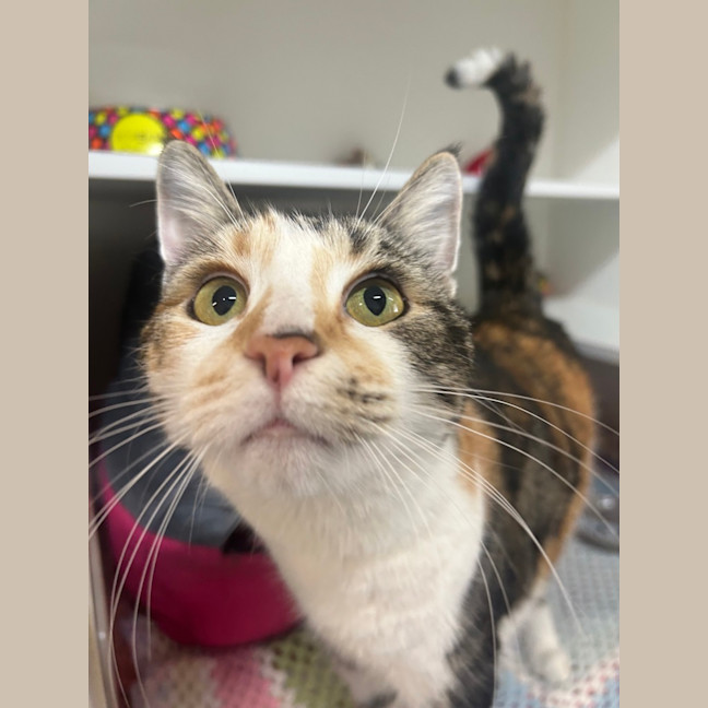 Photo of Samantha
