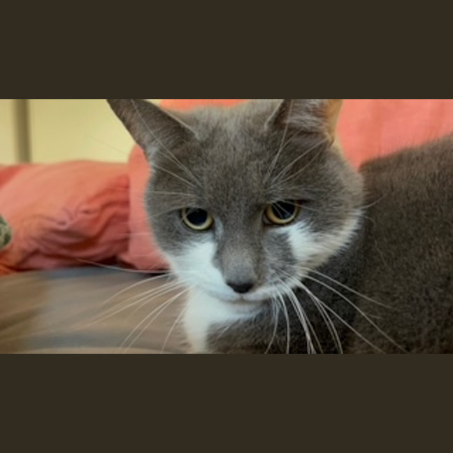 Photo of Sassy Smokey Calls The Shots