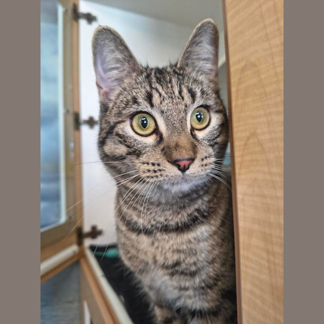 Photo of Billy