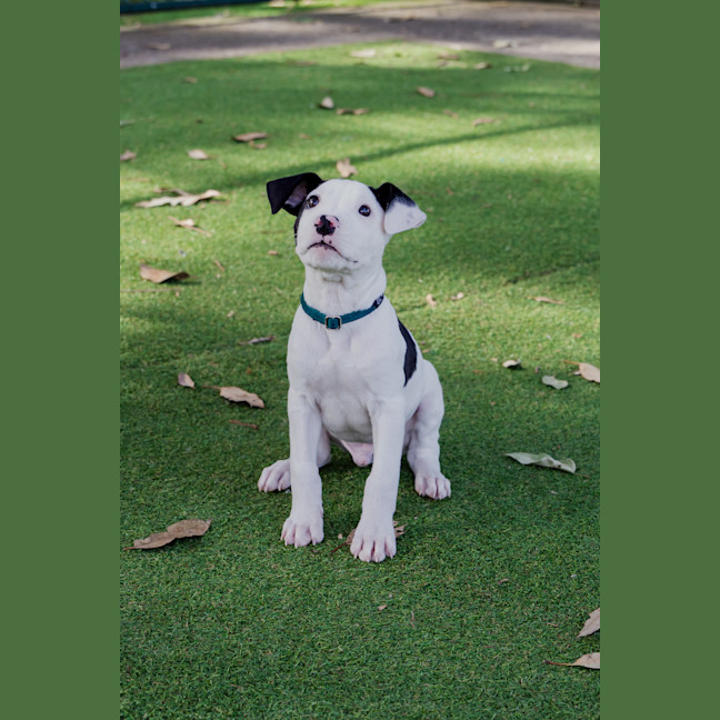 Photo of Abacus Crunch