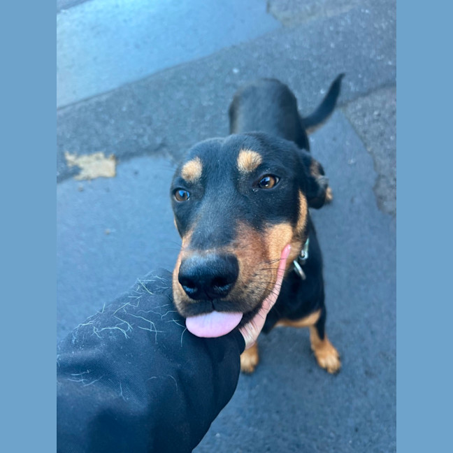 Photo of Pirate Jeff