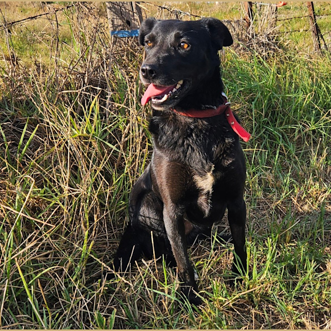 Photo of Peggy