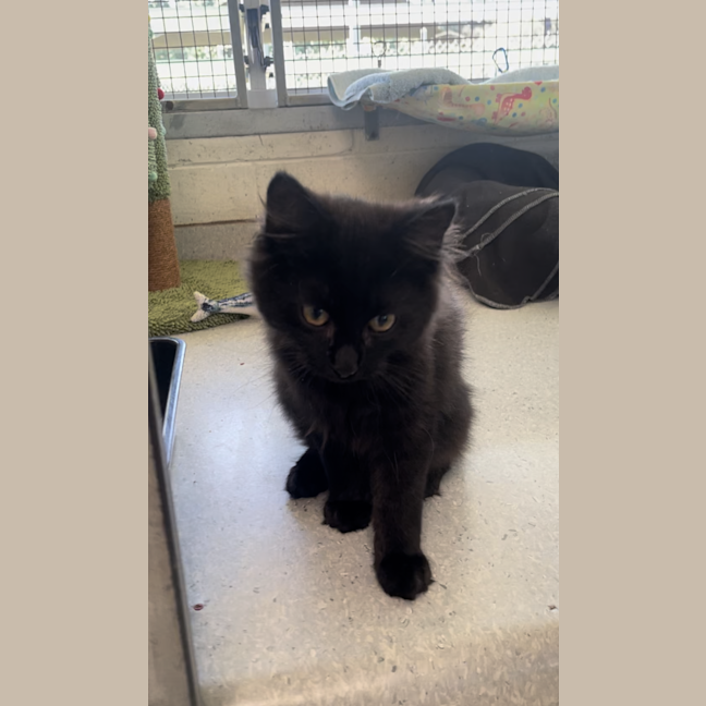 Photo of Sugar