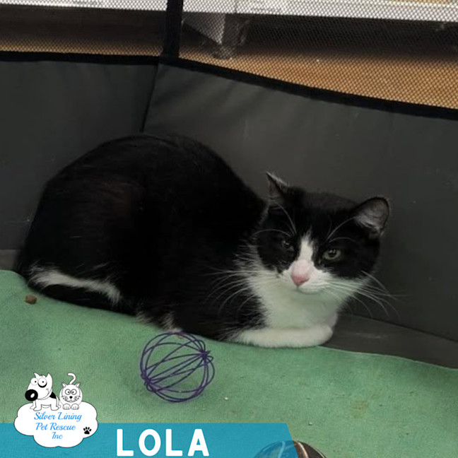Photo of Lola