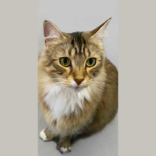 Photo of Luna
