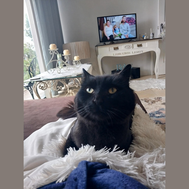 Photo of Leonard The Chatty Gentleman