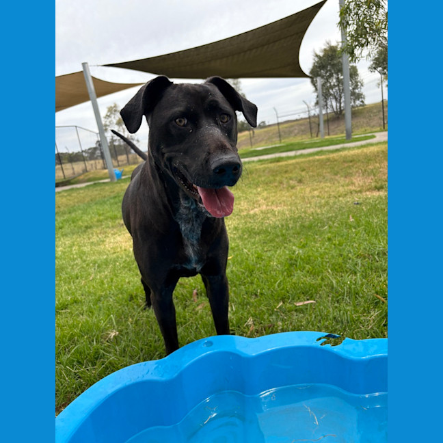 Photo of Phy (Phoebe Buffay)