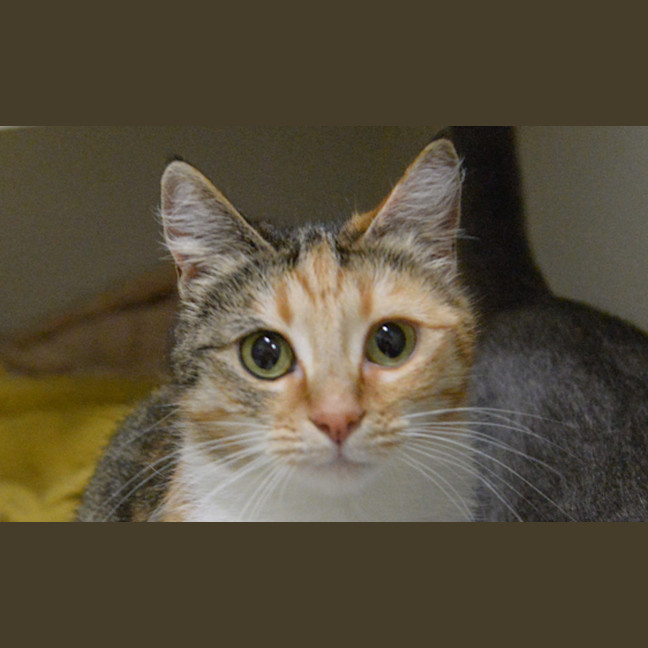 Photo of Hazel