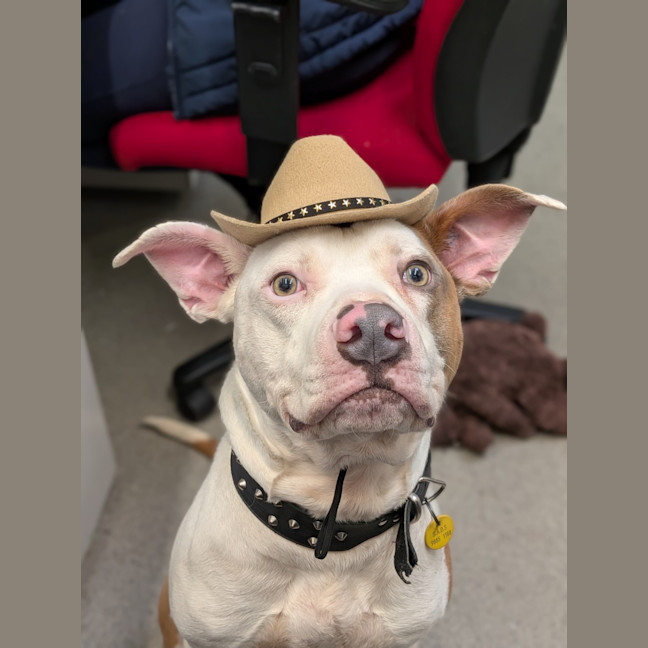 Photo of Raiden
