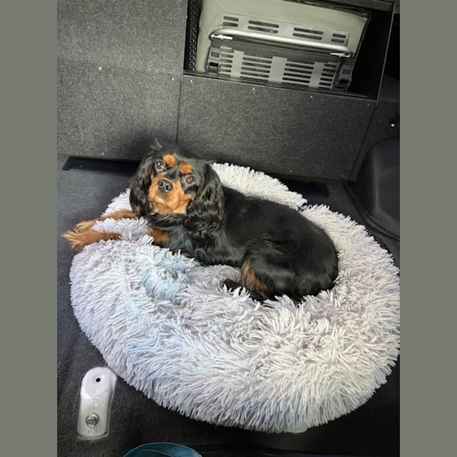 Photo of Walter Quinnell