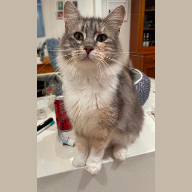 Photo of Lucy