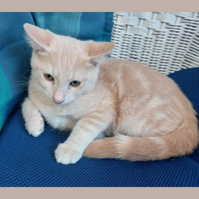 Photo of Rudolph 🦌