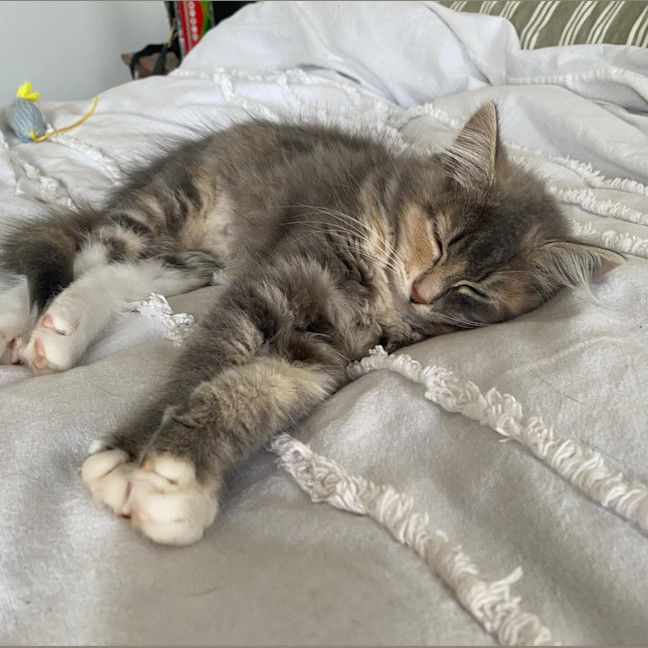 Photo of Milli